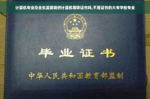计算机专业毕业生需要提供计算机等级证书吗,不用证书的大专学校专业