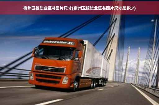 宿州卫校毕业证书图片尺寸(宿州卫校毕业证书图片尺寸是多少)