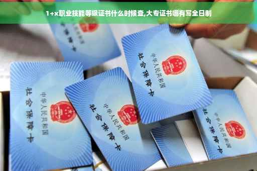 1+x职业技能等级证书什么时候查,大专证书哪有写全日制