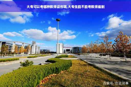 大专可以考哪种教师证书呢,大专生能不能考教师编制