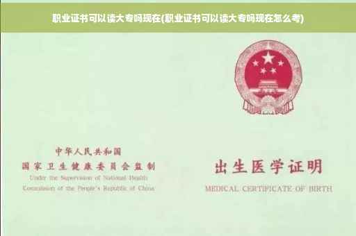 职业证书可以读大专吗现在(职业证书可以读大专吗现在怎么考)