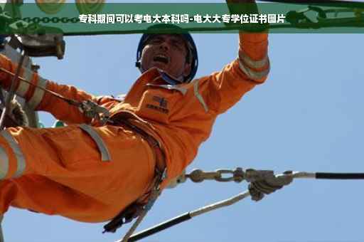 专科期间可以考电大本科吗-电大大专学位证书图片
