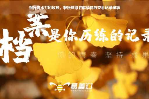 银行流水打印攻略，轻松获取并解读你的交易记录秘籍