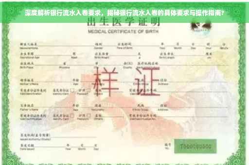 深度解析银行流水入卷要求，揭秘银行流水入卷的具体要求与操作指南?