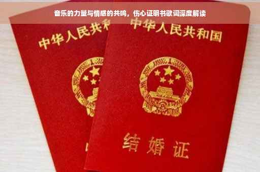 音乐的力量与情感的共鸣，伤心证明书歌词深度解读