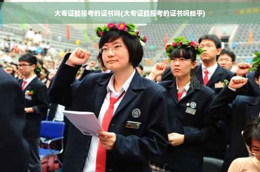 大专证能报考的证书吗(大专证能报考的证书吗知乎)