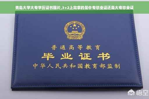 青岛大学大专学历证书图片,3+2上完拿的是中专毕业证还是大专毕业证
