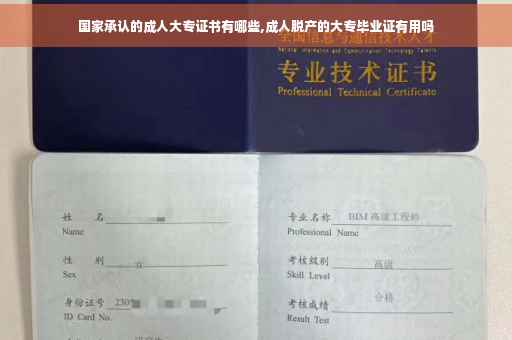 国家承认的成人大专证书有哪些,成人脱产的大专毕业证有用吗