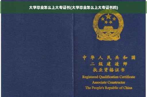 大学毕业怎么上大专证书(大学毕业怎么上大专证书的)