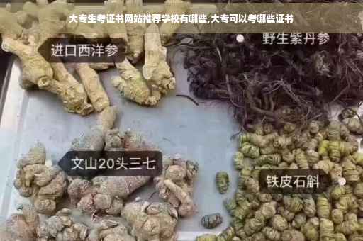 大专生考证书网站推荐学校有哪些,大专可以考哪些证书