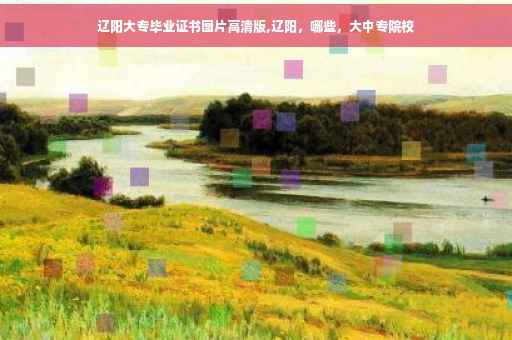 辽阳大专毕业证书图片高清版,辽阳，哪些，大中专院校