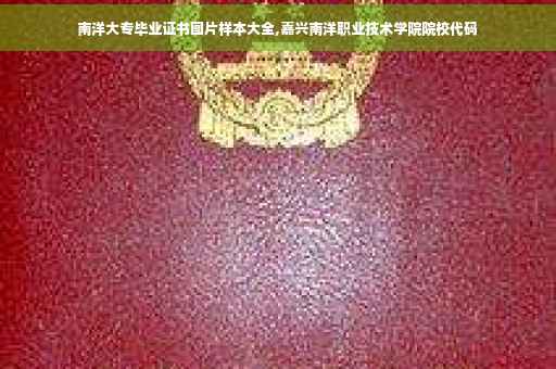 南洋大专毕业证书图片样本大全,嘉兴南洋职业技术学院院校代码