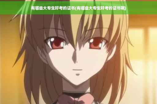 有哪些大专生好考的证书(有哪些大专生好考的证书呢)