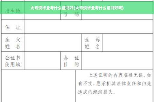 大专没毕业考什么证书好(大专没毕业考什么证书好呢)