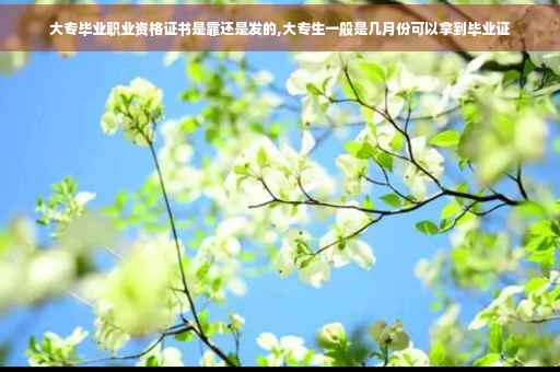 大专毕业职业资格证书是靠还是发的,大专生一般是几月份可以拿到毕业证