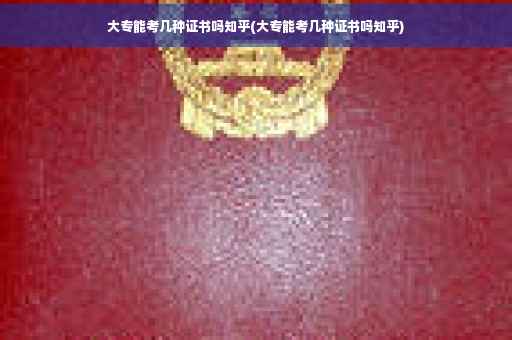大专能考几种证书吗知乎(大专能考几种证书吗知乎)