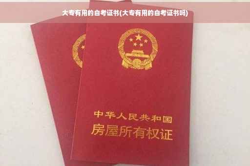 大专有用的自考证书(大专有用的自考证书吗)