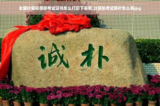 全国计算机等级考试证书怎么打印下来啊,计算机考试照片怎么弄jpg