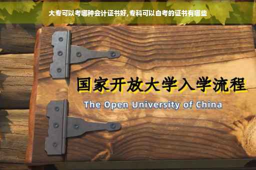 大专可以考哪种会计证书好,专科可以自考的证书有哪些