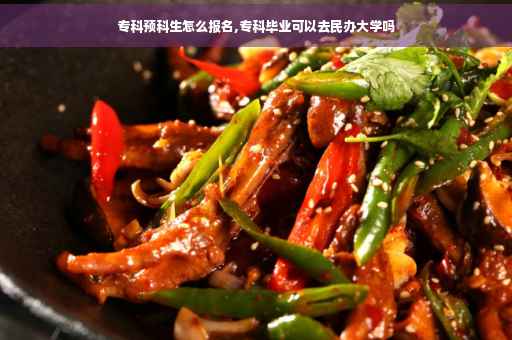 专科预科生怎么报名,专科毕业可以去民办大学吗