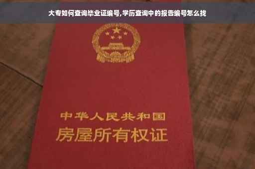 大专如何查询毕业证编号,学历查询中的报告编号怎么找