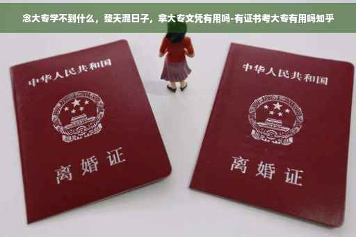 念大专学不到什么，整天混日子，拿大专文凭有用吗-有证书考大专有用吗知乎