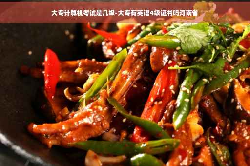 大专计算机考试是几级-大专有英语4级证书吗河南省