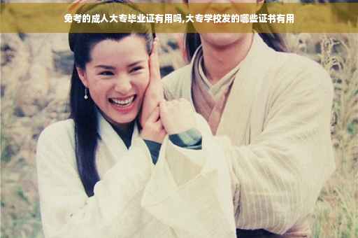 免考的成人大专毕业证有用吗,大专学校发的哪些证书有用