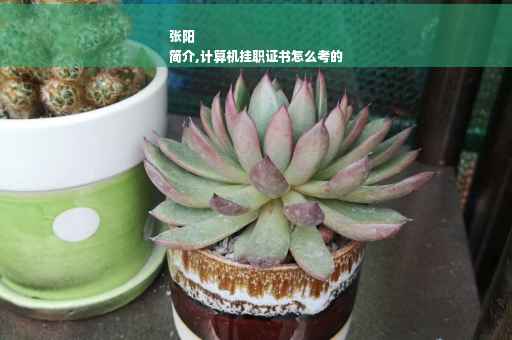 张阳
简介,计算机挂职证书怎么考的