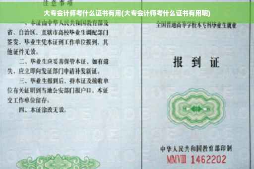 大专会计师考什么证书有用(大专会计师考什么证书有用呢)