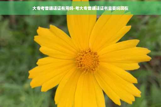 大专考普通话证有用吗-考大专普通话证书需要吗现在