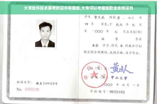 大专软件技术要考的证书有哪些,大专可以考哪些职业资格证书