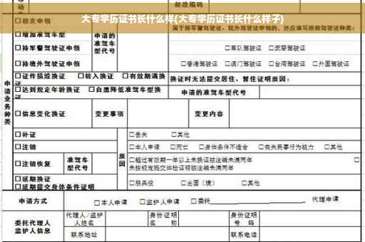 大专学历证书长什么样(大专学历证书长什么样子)