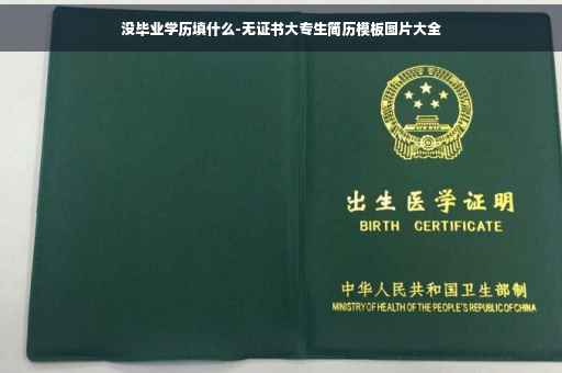 没毕业学历填什么-无证书大专生简历模板图片大全