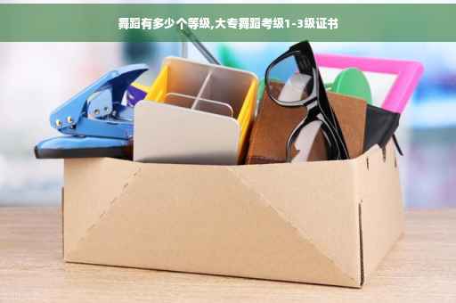 舞蹈有多少个等级,大专舞蹈考级1-3级证书