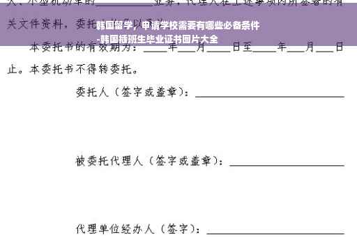 韩国留学，申请学校需要有哪些必备条件
-韩国插班生毕业证书图片大全