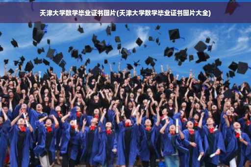 天津大学数学毕业证书图片(天津大学数学毕业证书图片大全)