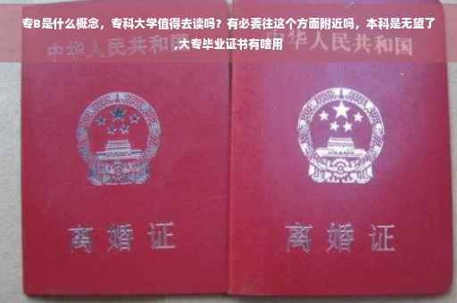 专B是什么概念，专科大学值得去读吗？有必要往这个方面附近吗，本科是无望了,大专毕业证书有啥用