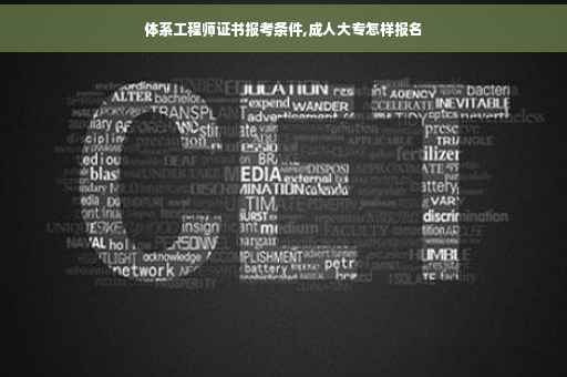 体系工程师证书报考条件,成人大专怎样报名