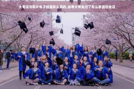 大专证书照片电子档案怎么弄的,自考大专全过了怎么申请毕业证
