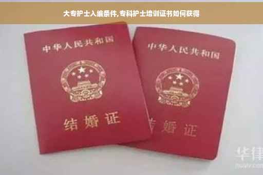 大专护士入编条件,专科护士培训证书如何获得