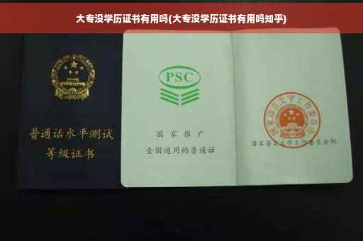 大专没学历证书有用吗(大专没学历证书有用吗知乎)