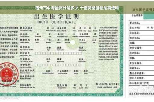 宿州市中考最高分是多少,十面灵璧图卷是真迹吗