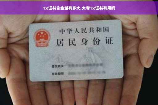 1x证书含金量有多大,大专1x证书有用吗