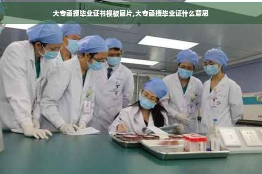 大专函授毕业证书模板图片,大专函授毕业证什么意思