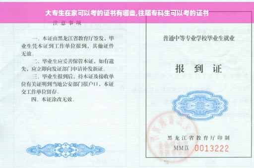 大专生在家可以考的证书有哪些,往届专科生可以考的证书