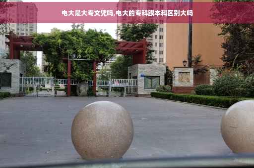 电大是大专文凭吗,电大的专科跟本科区别大吗