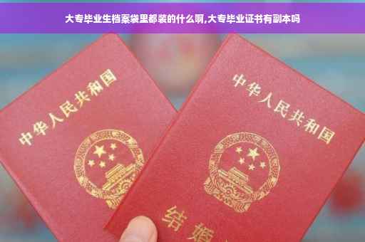 大专毕业生档案袋里都装的什么啊,大专毕业证书有副本吗