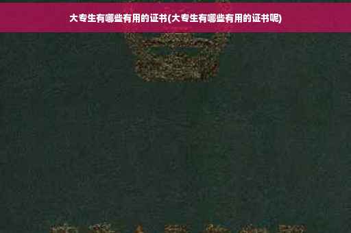 大专生有哪些有用的证书(大专生有哪些有用的证书呢)