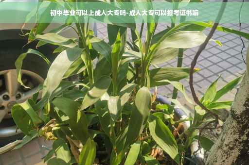 初中毕业可以上成人大专吗-成人大专可以报考证书嘛